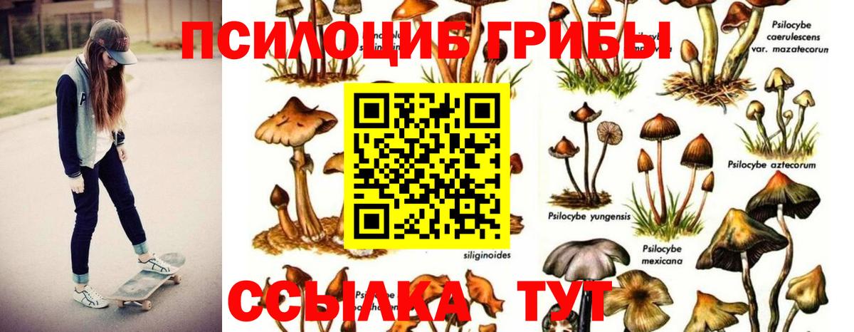 Псилоцибиновые грибы прущие грибы Чебоксары